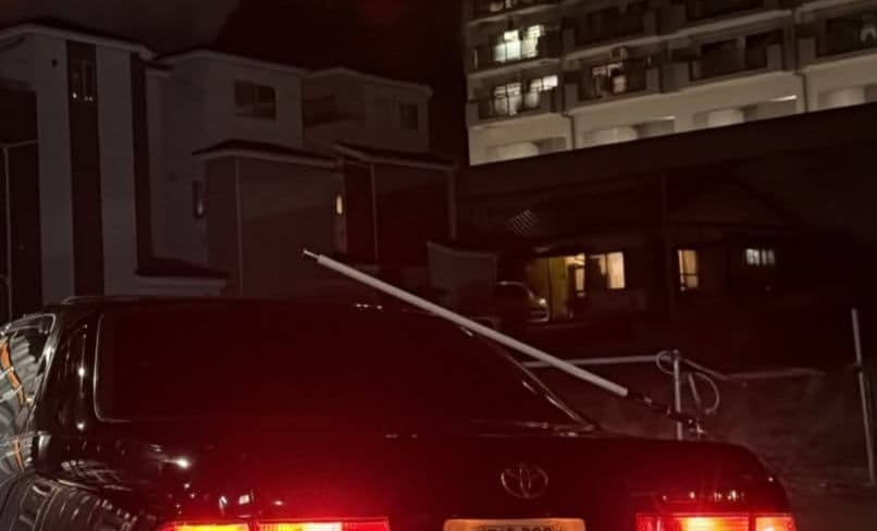 最新作！送料込！VIPアンテナ黒 本物ジャンクションプロデュース