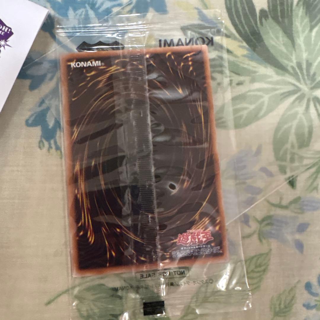 ブラックマジシャン　東京ドーム　25th