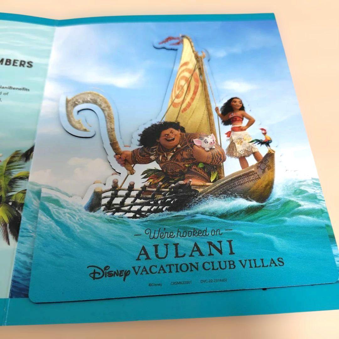 アウラニディズニーリゾート。DVCリトグラフ＆パンフレット＆マグネット