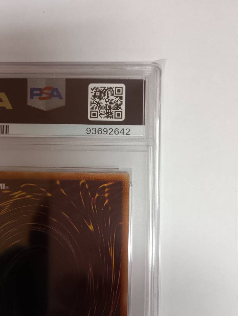 2024 YU-GI-OH! 青眼の白龍 東京ドーム限定