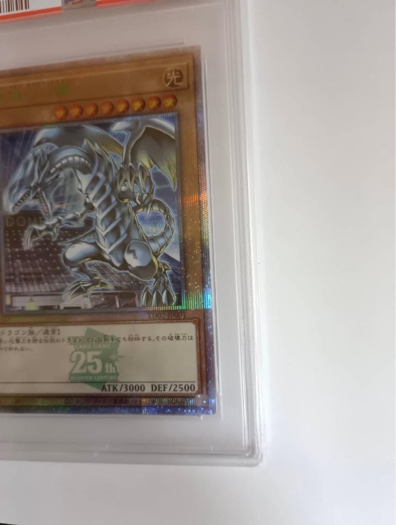 2024 YU-GI-OH! 青眼の白龍 東京ドーム限定