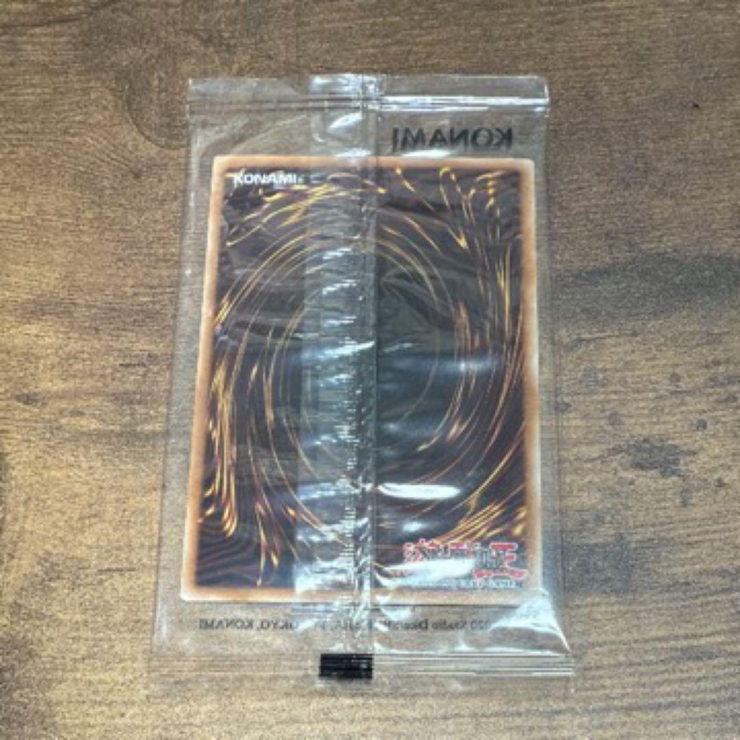 真紅眼の黒竜 遊戯王 ナイキ エアーマックス 95レッドアイズ・ブラックドラゴン