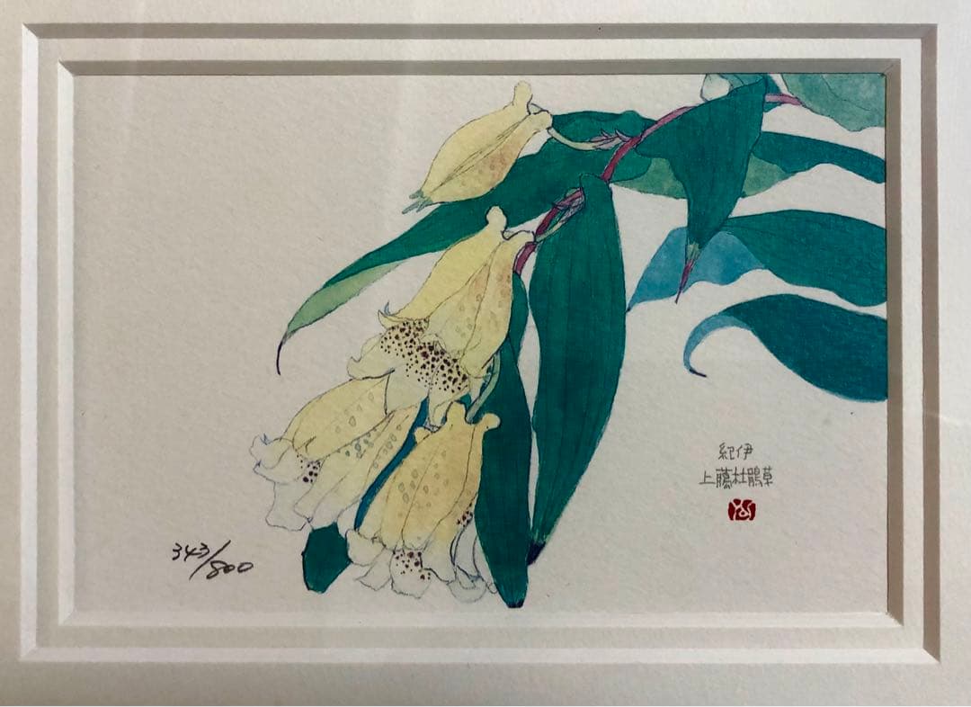 外山康雄  版画　その①  紀伊上臈杜鵑草