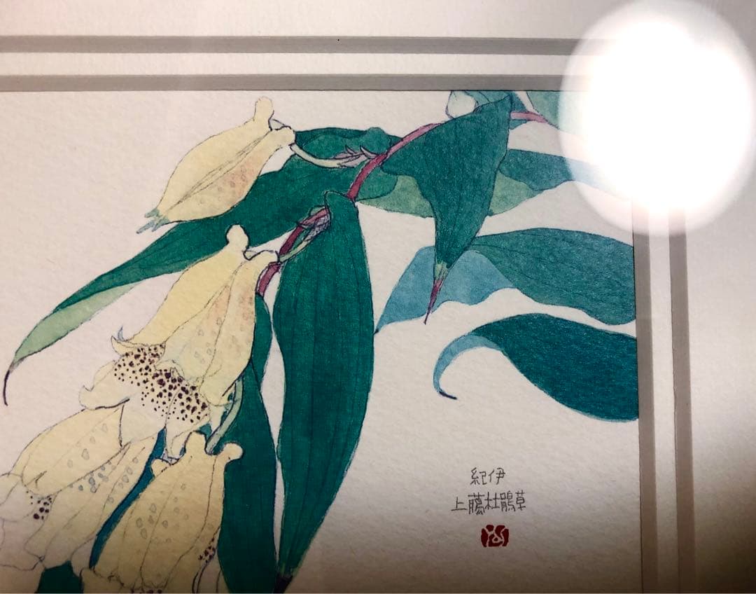 外山康雄  版画　その①  紀伊上臈杜鵑草