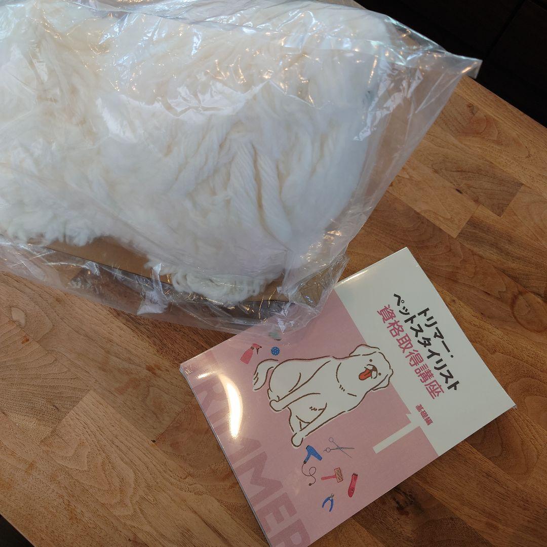 キャリカレ ペットスタイリスト資格取得講座 ★新品未開封！★