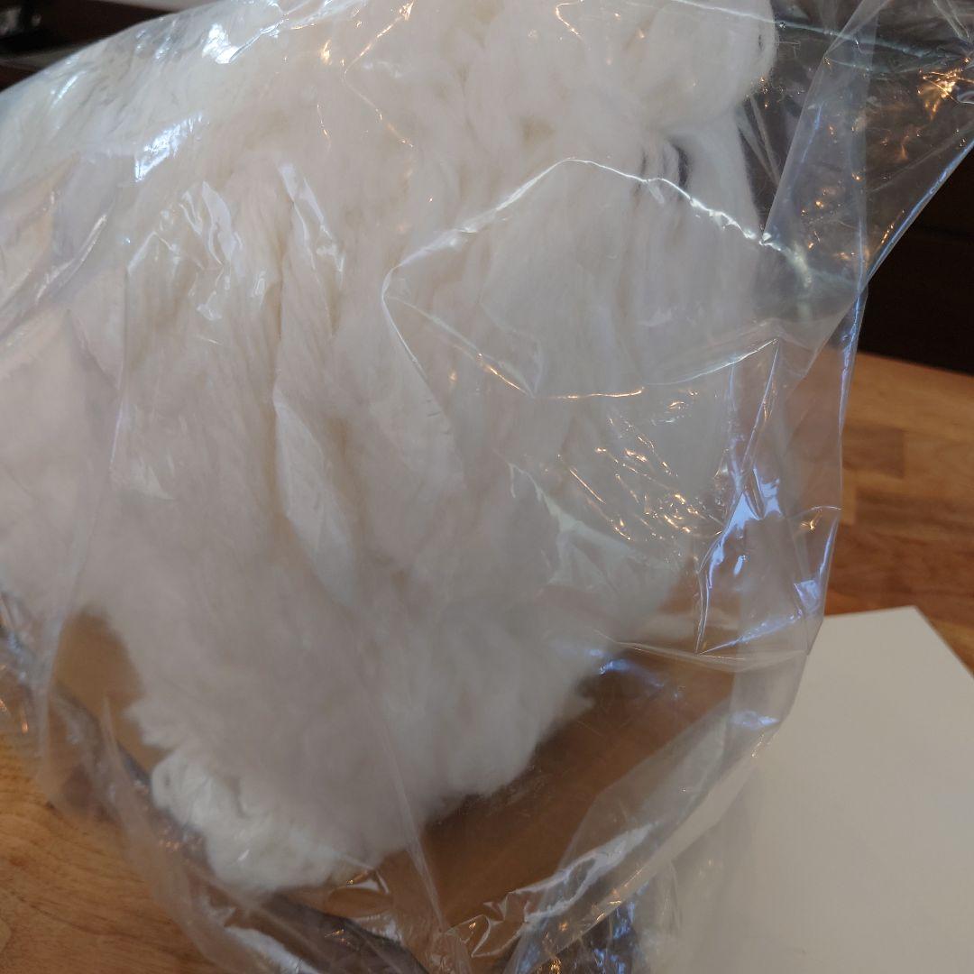 キャリカレ ペットスタイリスト資格取得講座 ★新品未開封！★