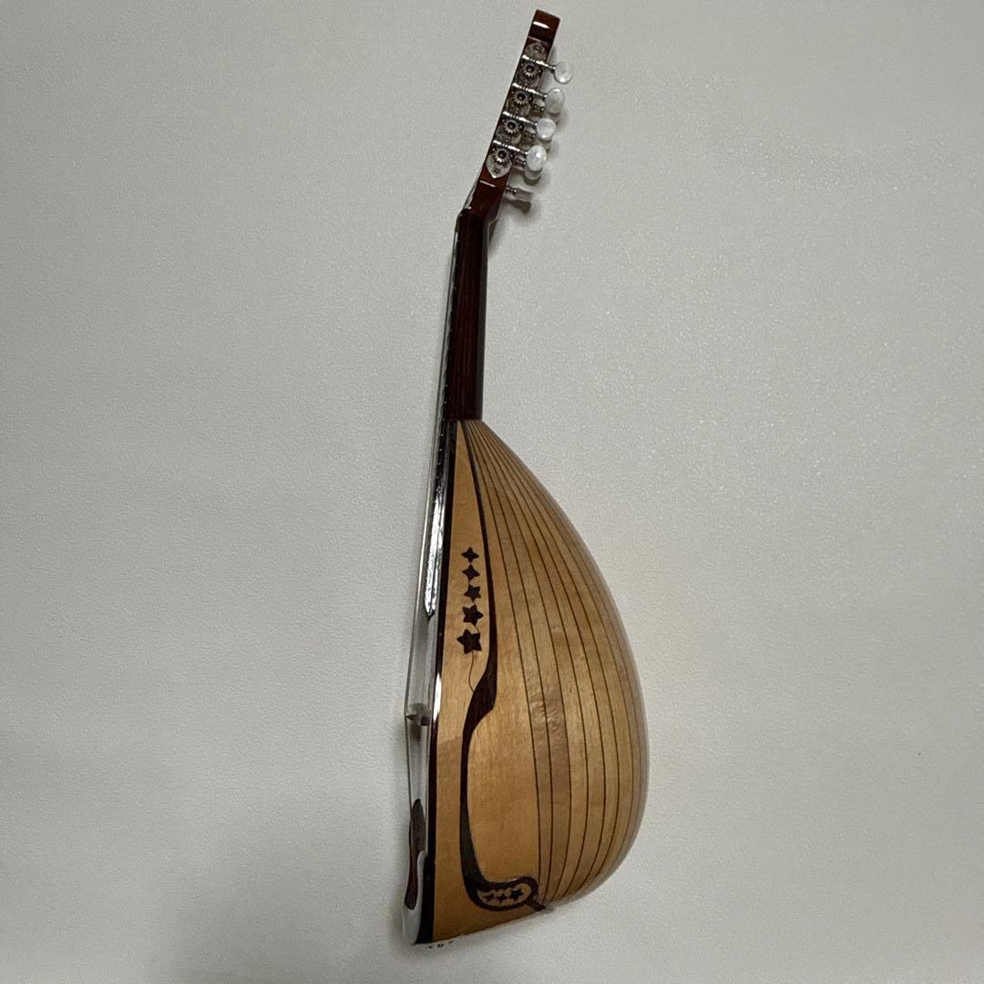 石川捷二郎監修 Venezia マンドリン M-50 ハードケース付 - メルカリ