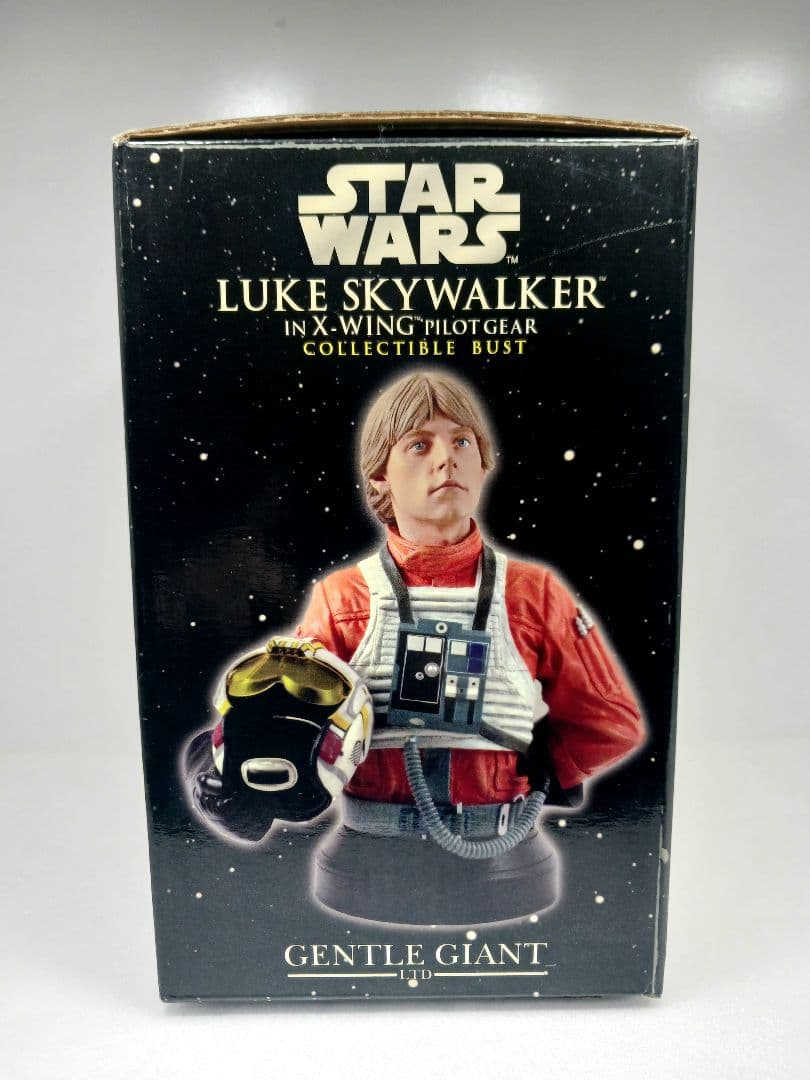 スターウォーズ ルーク・スカイウォーカー Xウイング パイロットミニバスト