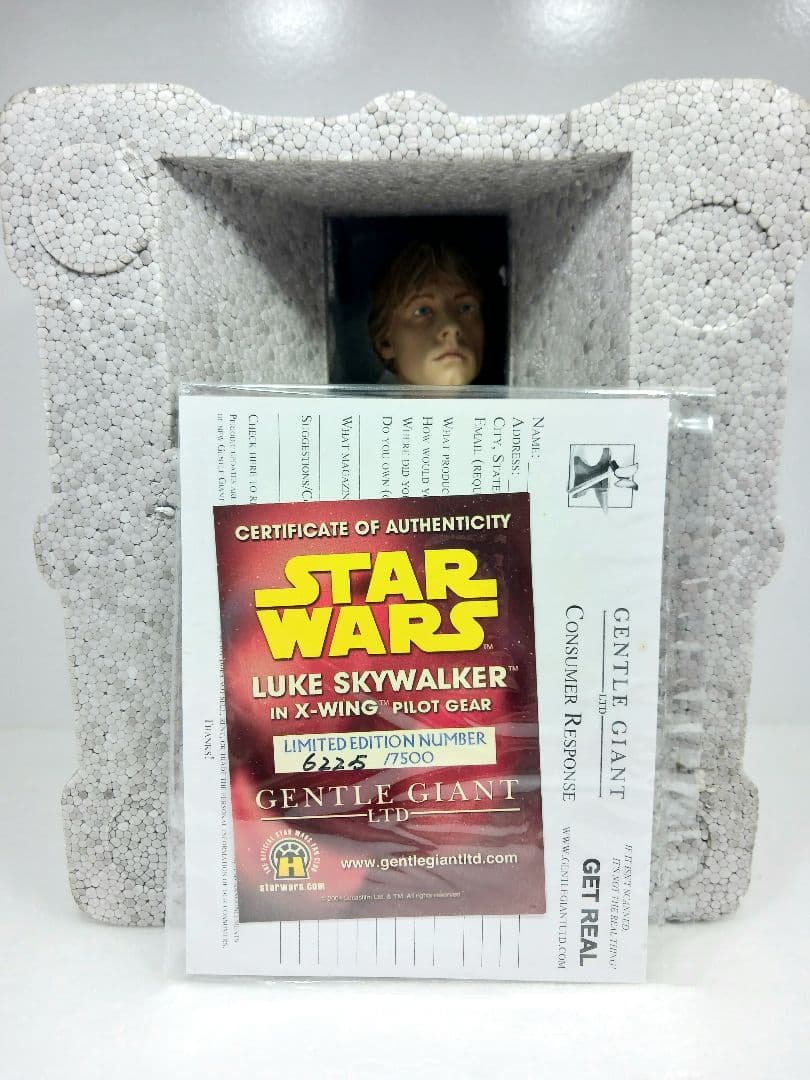 スターウォーズ ルーク・スカイウォーカー Xウイング パイロットミニバスト