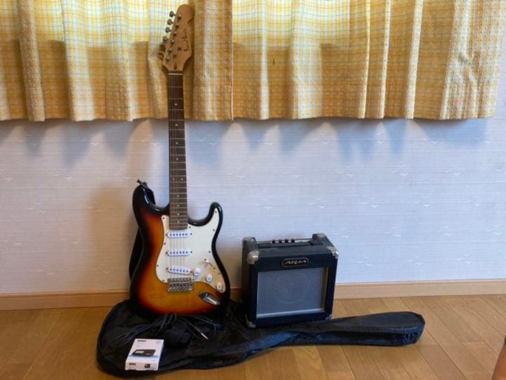 ギター、アンプ、ケース、チューナー、セット G-112A / Combo Amp Transporter ギターアンプケース 1台 GATOR Case