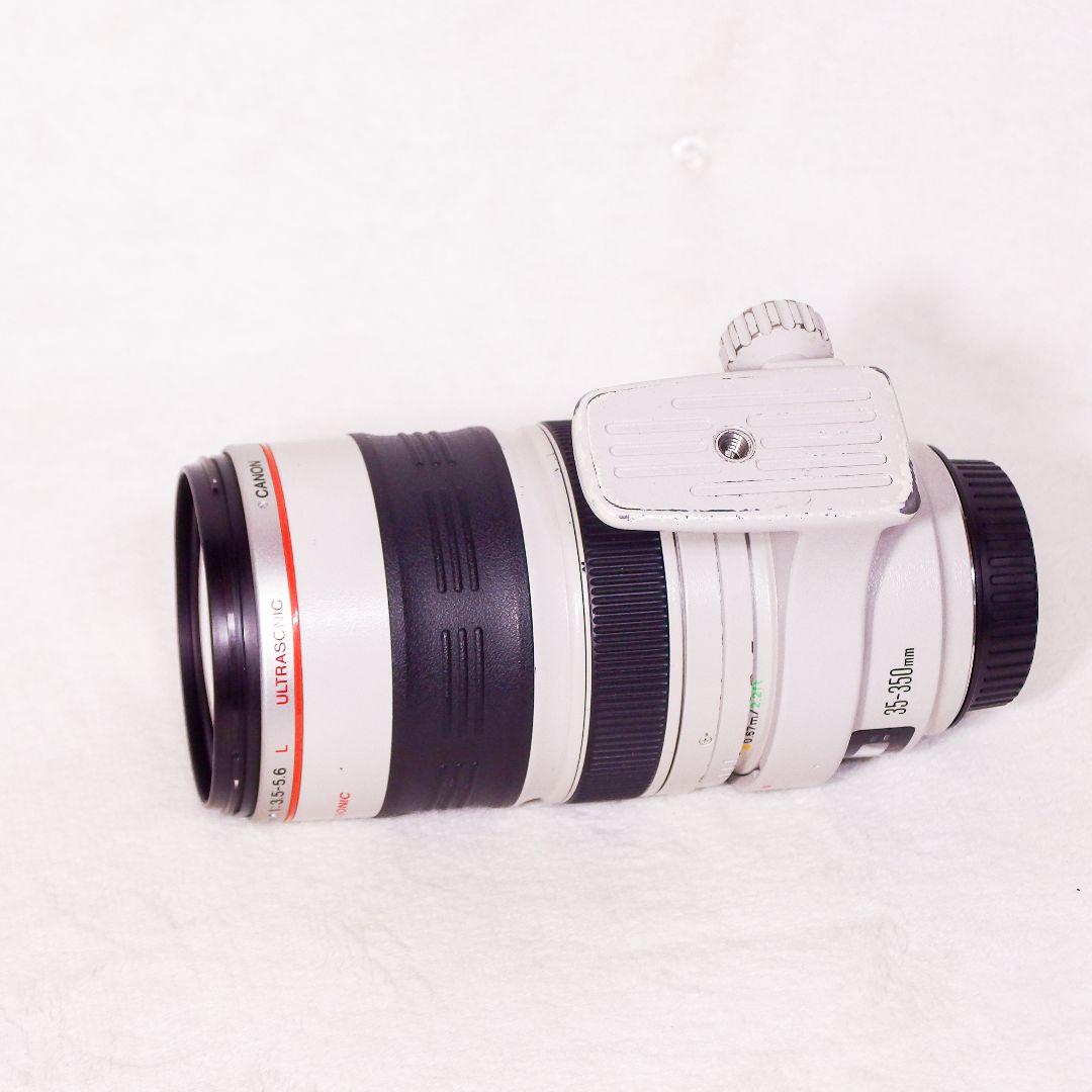 実用 美品 Canon EF 35-350mm F3.5-5.6 L USM