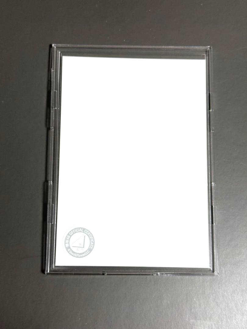 直筆最安値】向井純葉 直筆 サイン入り クリスマスサンタ ※値引交渉