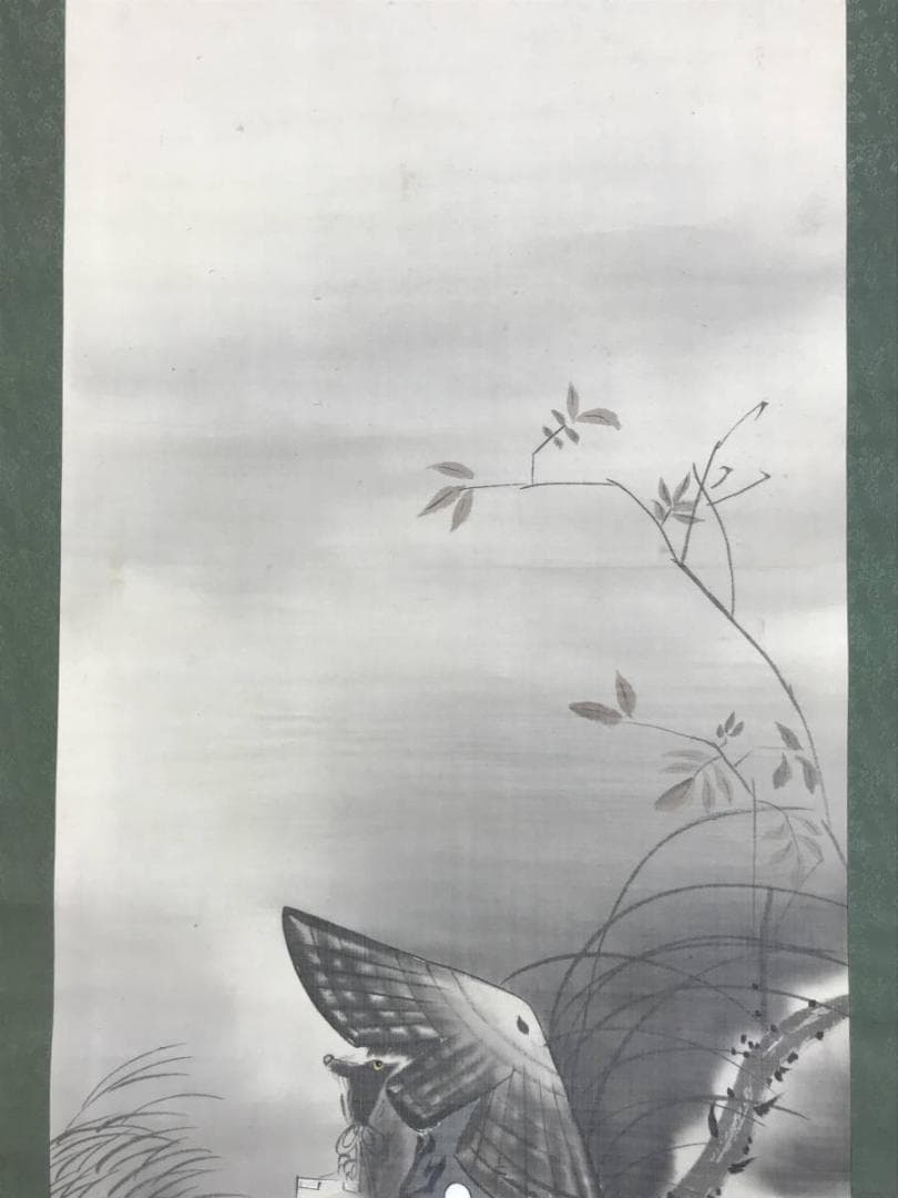 【真作】翠峰/狸図/タヌキ図/たぬき図/掛軸/名家伝来/AD-786