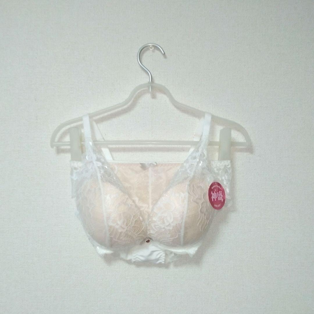 ブラジャー ショーツ セット E75 パルファージュ ルジェ レシアージュ