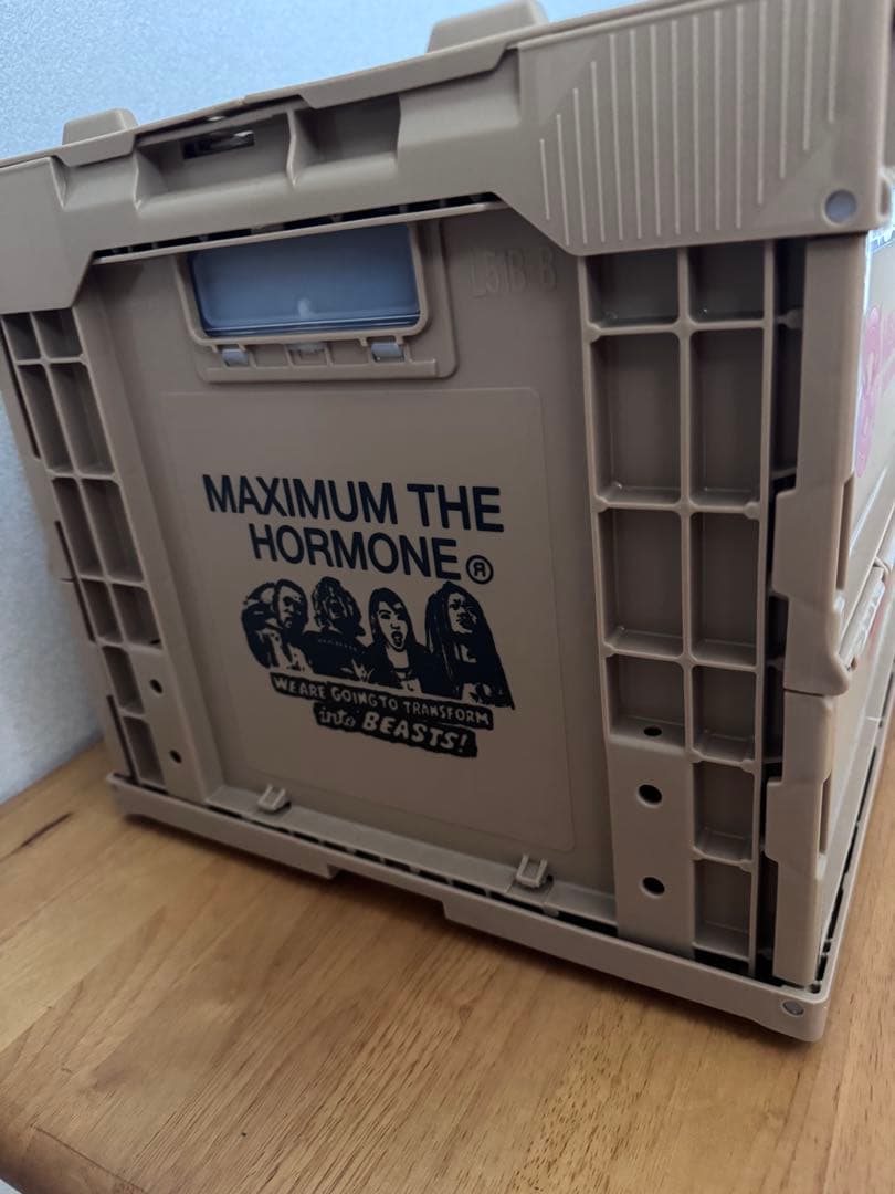 マキシマムザホルモン オリコン