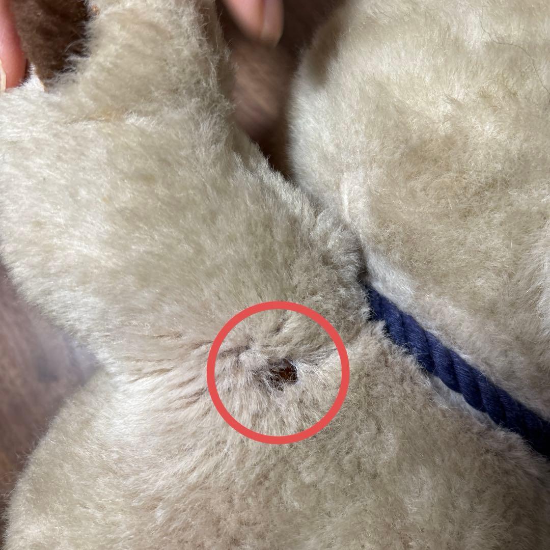 こぐまのファンファン　レトロぬいぐるみ　ファースト社