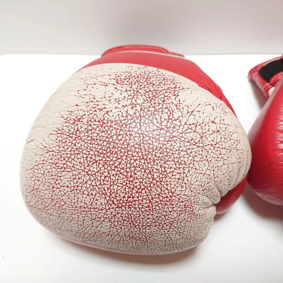 winning ウイニング ボクシンググローブ 10oz 旧アマチュア試合用①