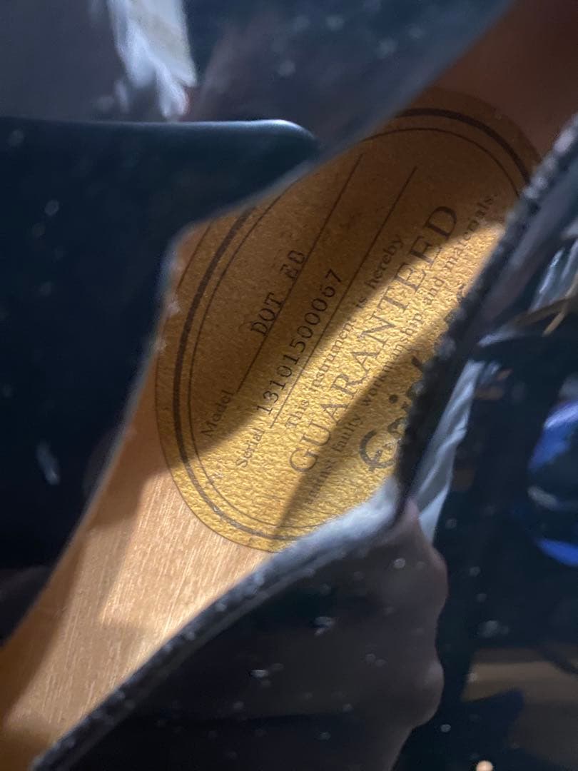 る*み様 Epiphone ES-335 ブラック