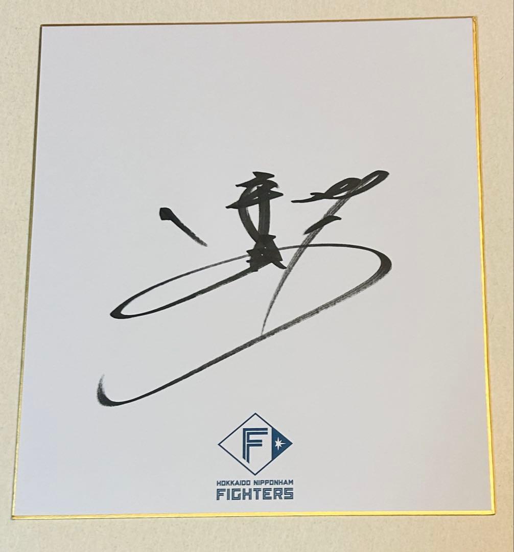 金村尚真 北海道日本ハムファイターズ 春季キャンプ 直筆サイン