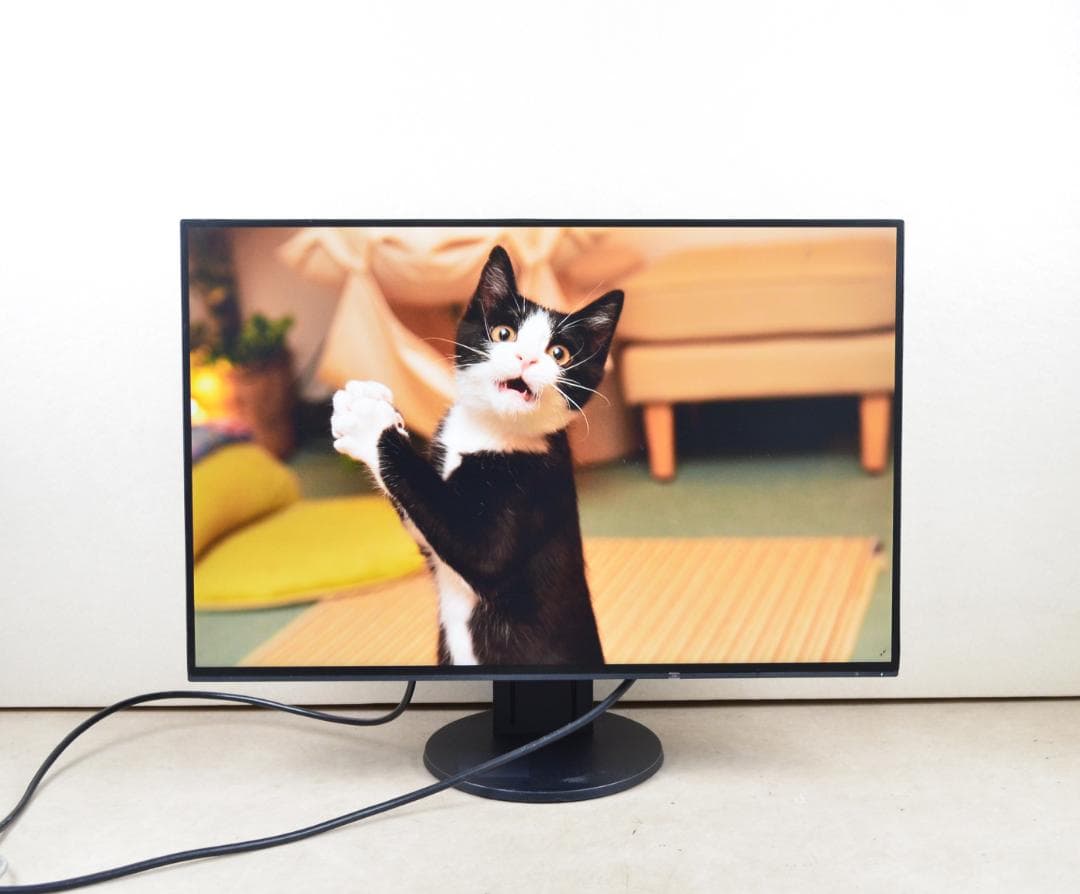 追加購入分　2台　EIZO　EV2456　24型　WUXGA　HDMI　IPS Amazon.co.jp: EIZO FlexScan 24.1インチ ディスプレイ モニター