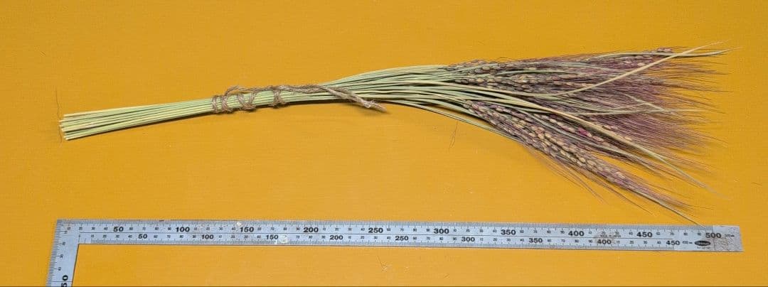 あんどらん　訳あり　しめ縄　稲穂　同梱