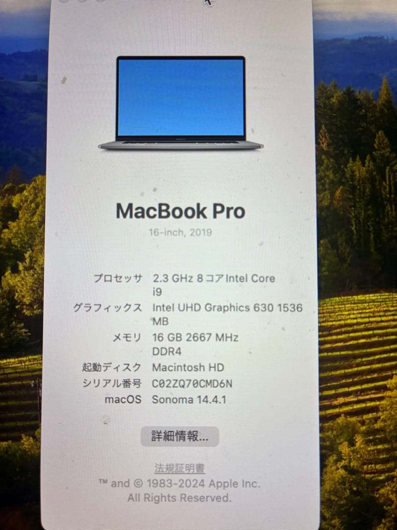 Apple MacBook Pro 2019 ジャンク 画面不具合 16インチ - メルカリ