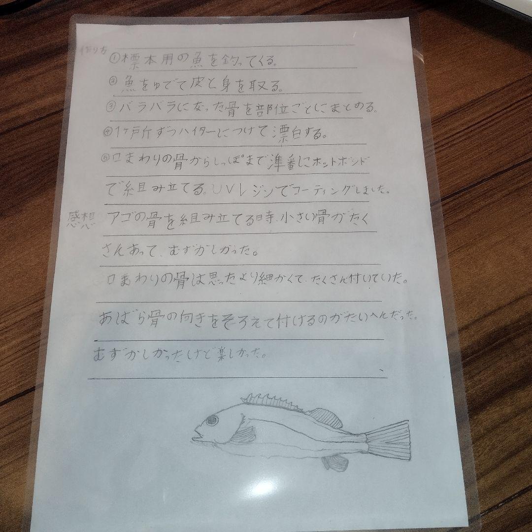 ②マクロスΔ　ワルキューレ　グラス　LED