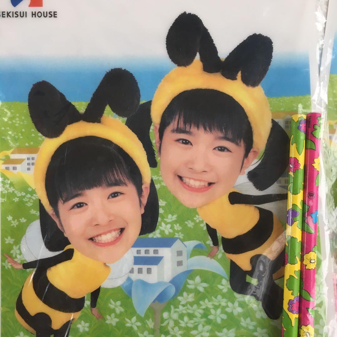 0701 みくらまな みくらかな まなかな 下敷き 29セット