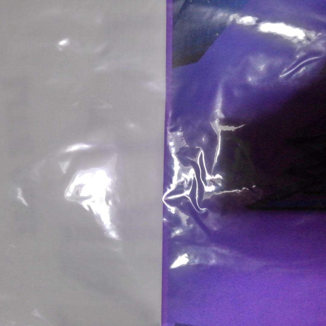 the GazettE　blinding hope white　tee