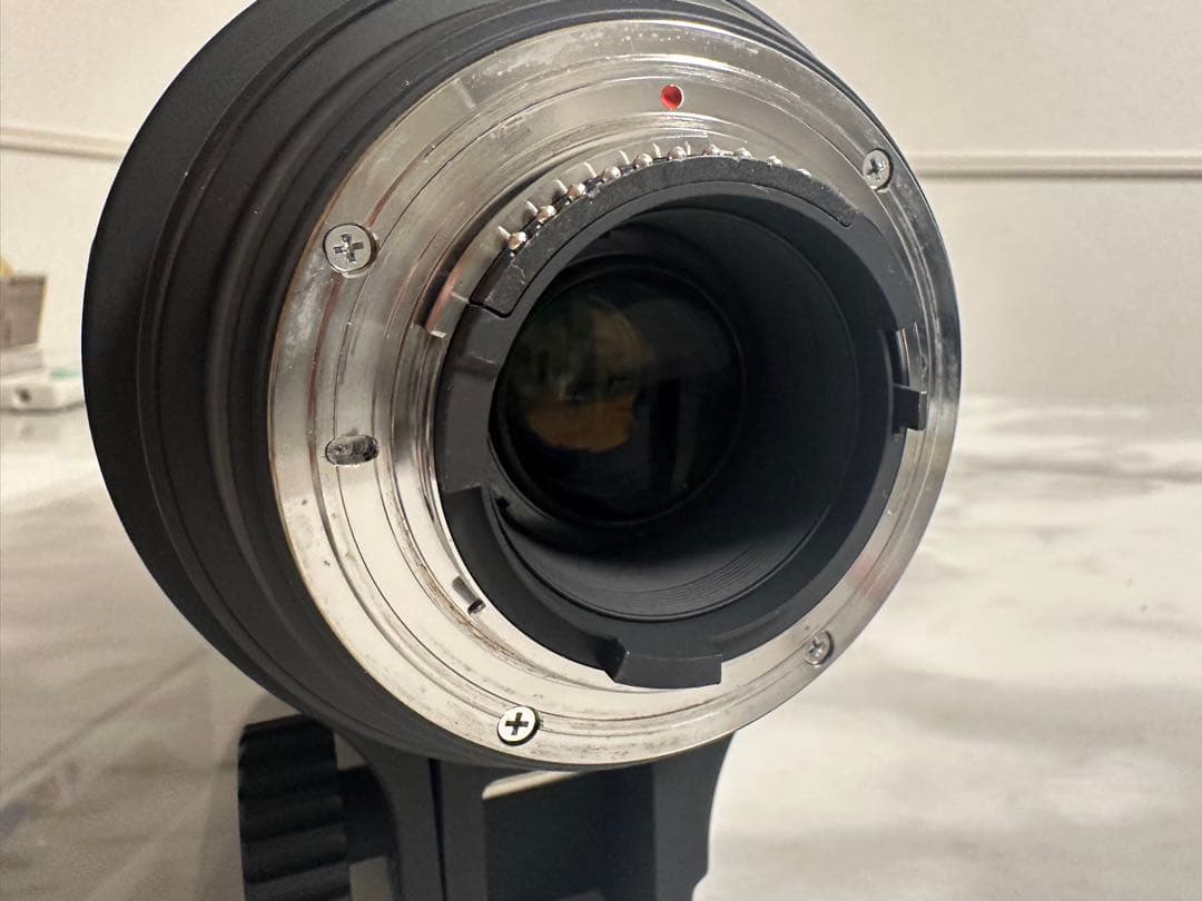 おーつか　SIGMA 50-500mm F4.5-6.3 Nikon