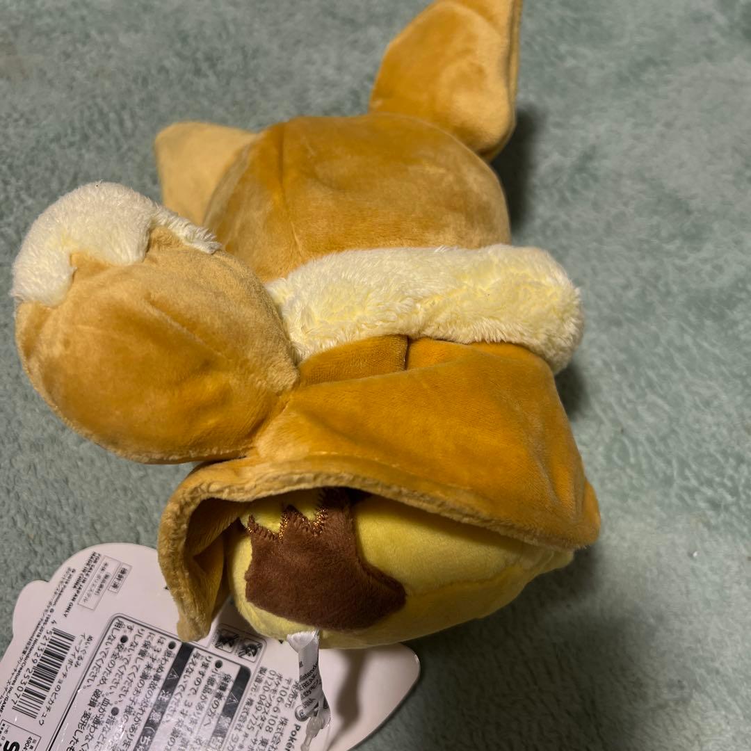 ピカチュウ イーブイ ポンチョ