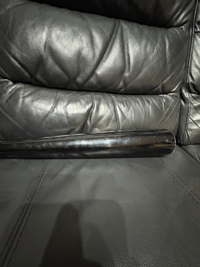 ミズノプロ 木製バット 硬式 NPB 野球 H2 城島実使用品？参考価格