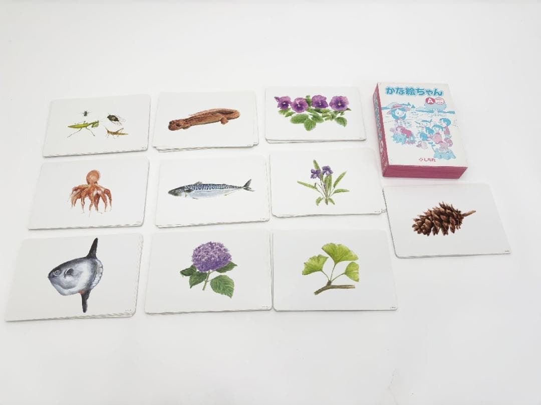 七田式 かな絵ちゃんカードA600枚セット しちだ - メルカリ