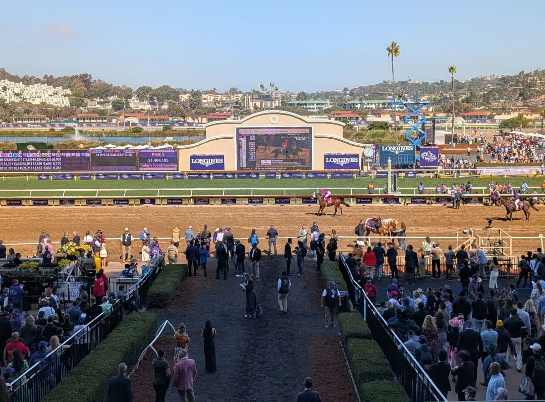 フォーエバーヤング BCクラシック2025 単勝馬券 デルマー競馬場 - メルカリ