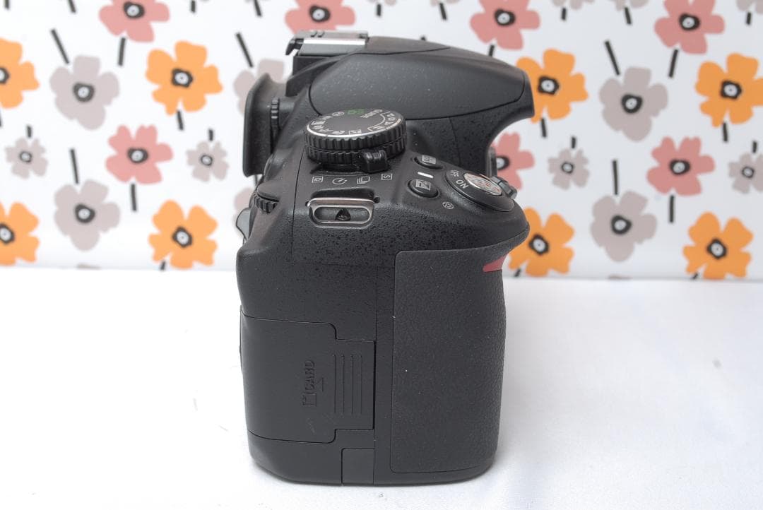 ❤Nikon D3100❤ショット数1,188回！❤ガイドモード搭載❤入学式に