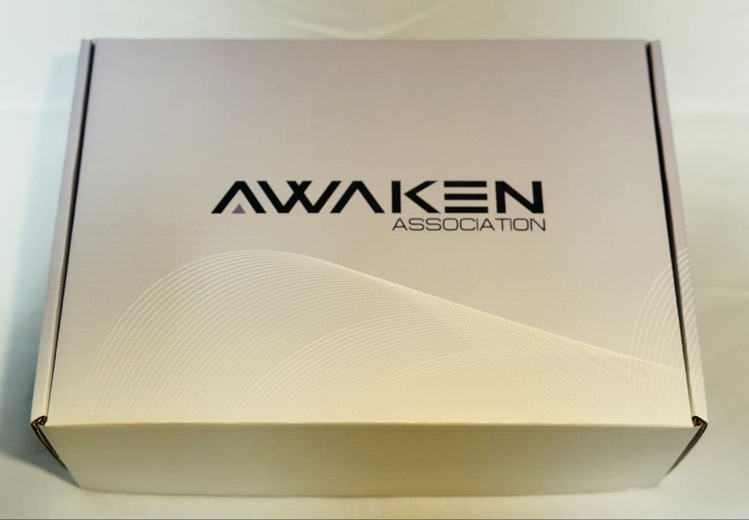 WF2025S AWAKEN ペルソナ3 アイギス ガレージキット - メルカリ