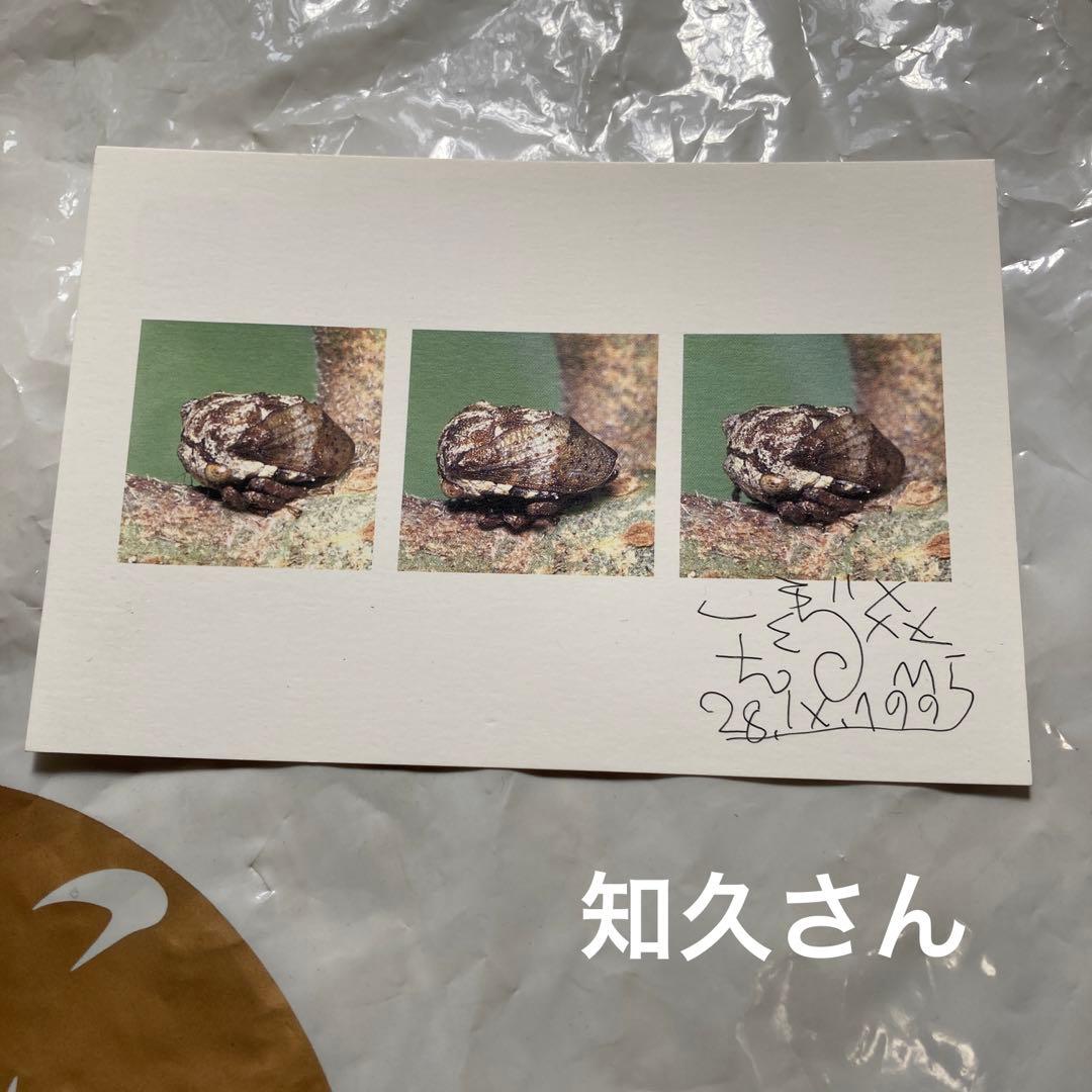 たま　ファンクラブの集い　直筆サイン　イカ天　知久寿焼　柳原幼一郎　滝本晃司