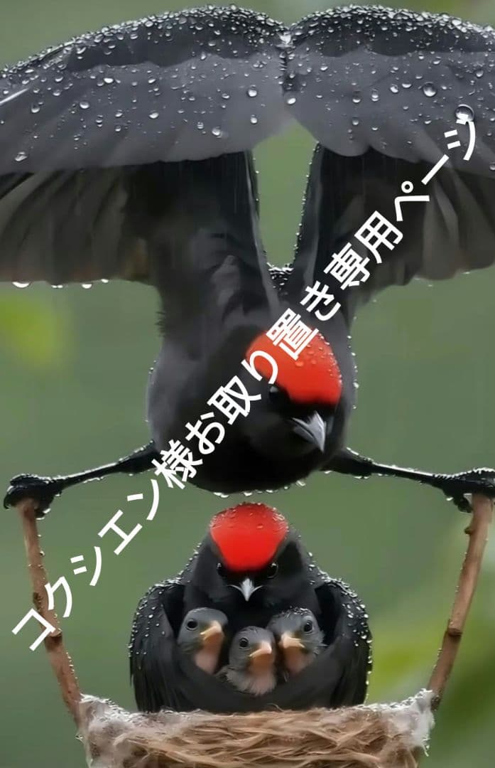 コクシエン様お取り置き専用ページになります。 お取り置き 専用ページ - メルカリ