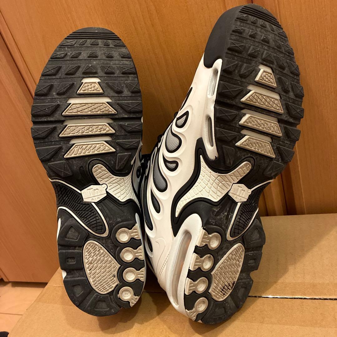 NIKE AIR MAX PLUS　26.5cm