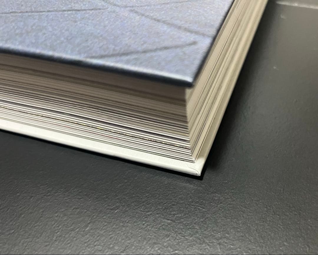 GARNET CROW 写真集