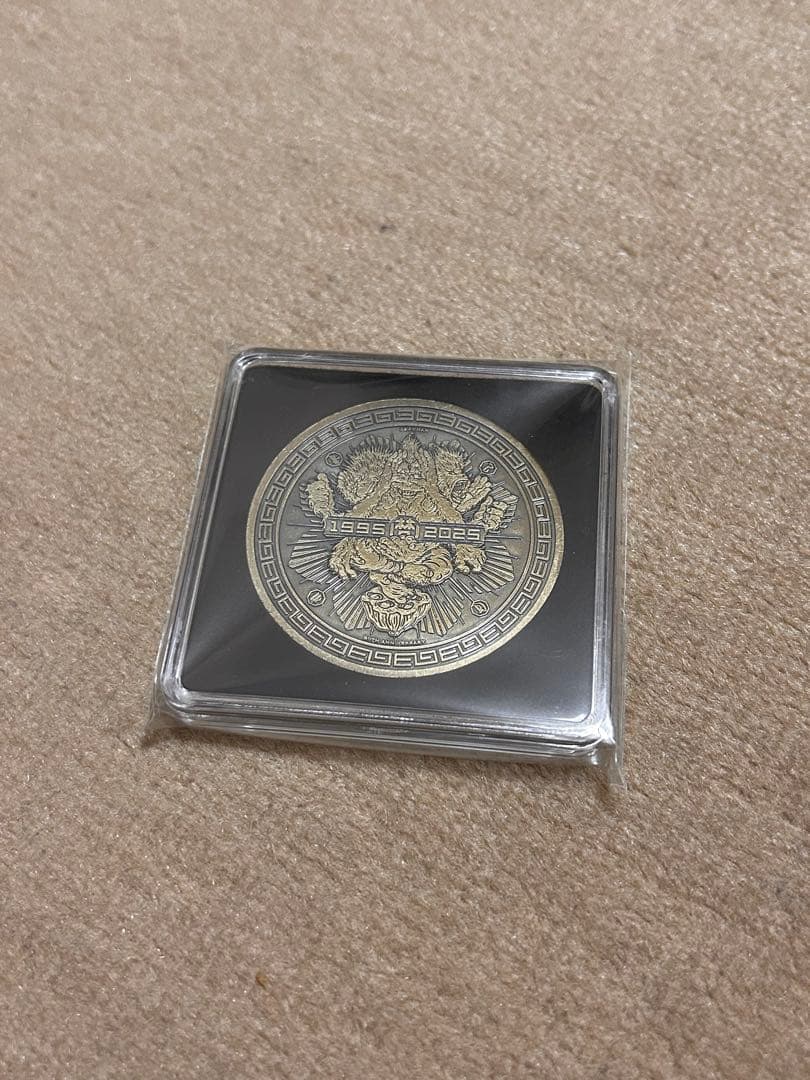 BRAHMAN viraha 完全生産限定盤 TシャツLサイズ