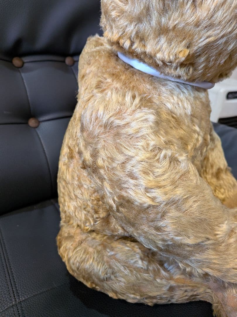 アンティークテディベア