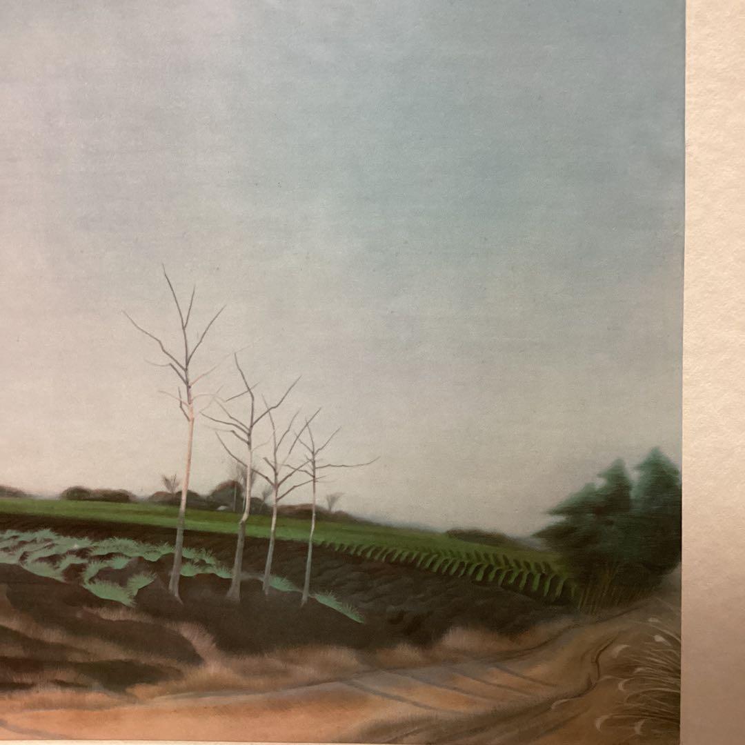 天才画家速水御舟　作品集大作編より　便利堂監修　画集NO 13 【平野晴景】