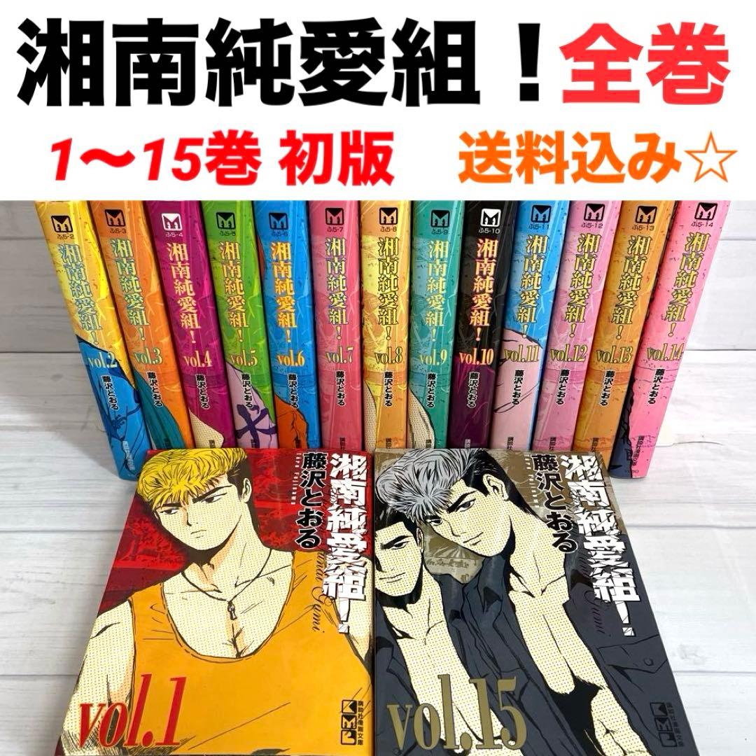 全巻】 湘南純愛組 全15巻セット 全巻初版 藤沢とおる GTO 鬼塚英吉