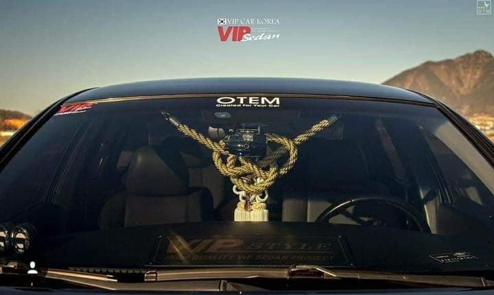 金綱 大サイズ 本物 ジャンクションプロデュース - メルカリ