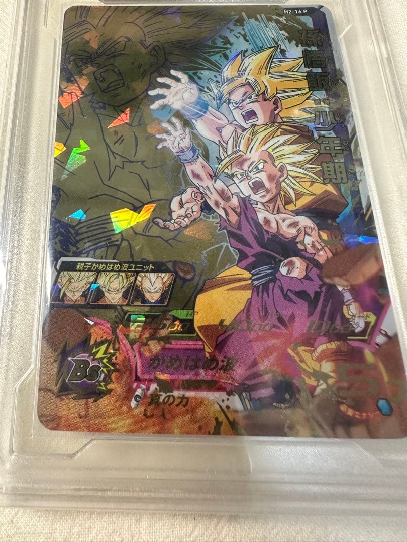 H2-16P 孫悟飯　PCG10