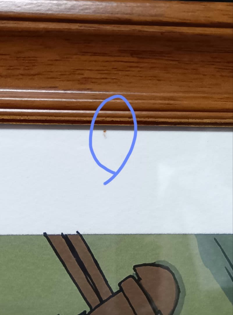 岩原裕二　地球美紗樹　額縁付き複製原画