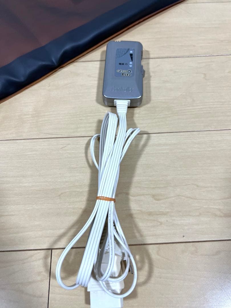 手軽な座布団タイプ 岩盤浴 ご湯るりと Lite 小林産業 - メルカリ