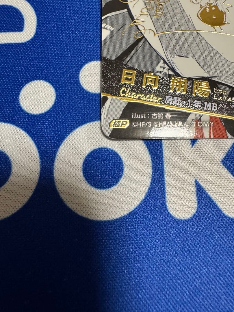 バボカ　日向翔陽　極P サイン入り　シリアル入り