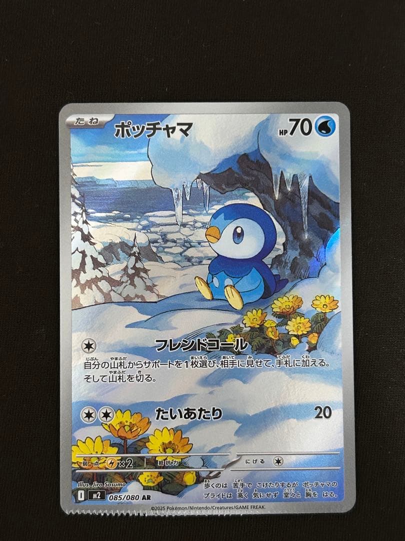 ポッチャマ AR 裁断エラーカード - メルカリ